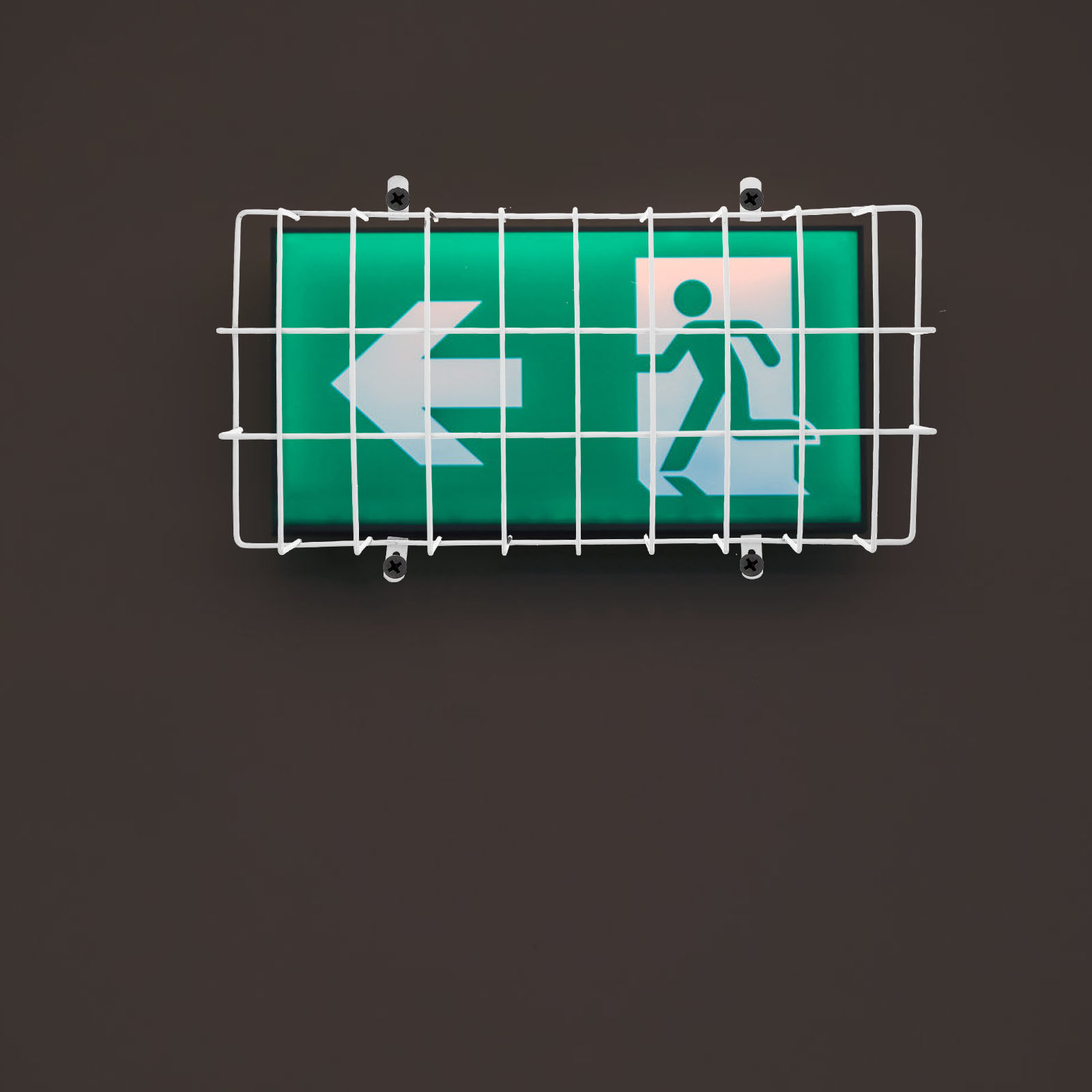 Защитный металлический кожух д – обзор и цена Emergency Exit Sign